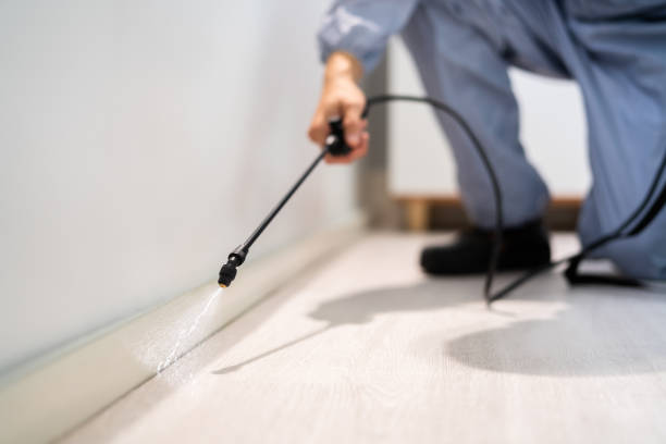 Professional exterminator conducting IPM assessment in Lakewood